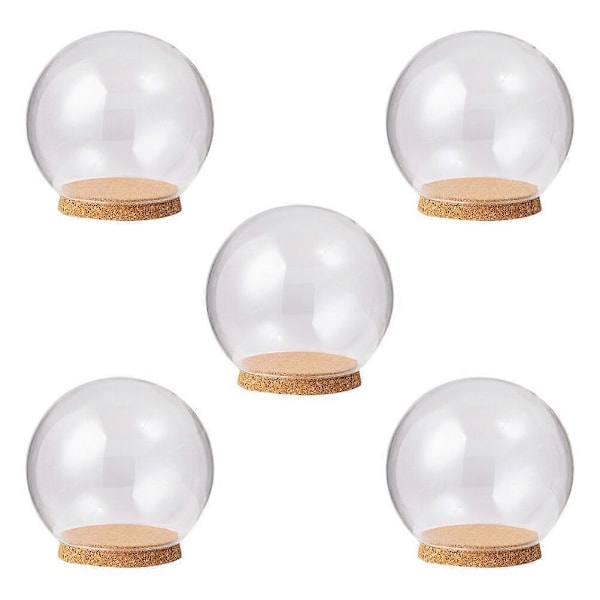 5 stk. Preserverte Friske Blomster Dukke Glasskuppel Udødelig Blomst Glasskuppel Glass Dome med Kork