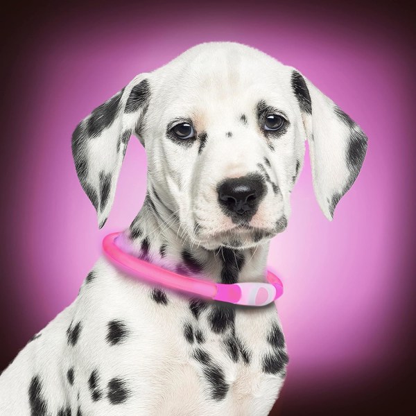 *LED Dog Collar Luminous Rechargeable LED Flashing Safety Collar O*