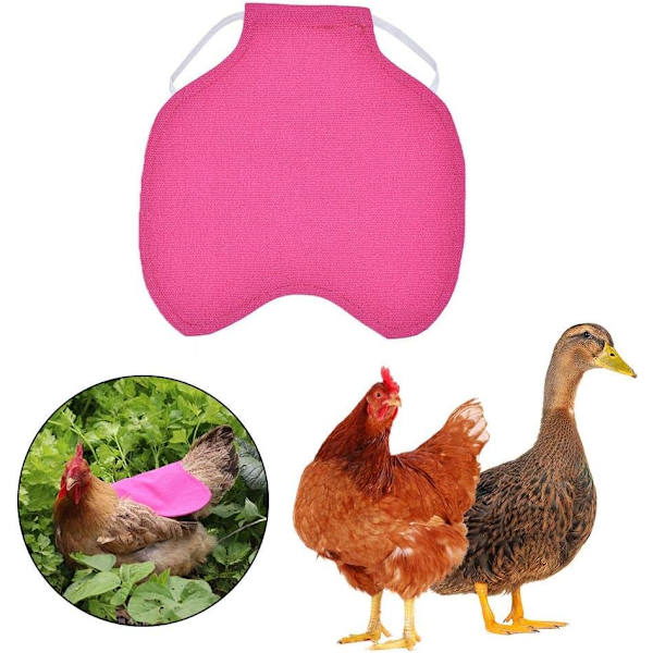 *Enkelt rem kyllingeforklæde/sadel vest høne and beskyttelse standard kyllingejakker høne forklæder fjerkræ pleje tilbehør 5stk-Rose Red*