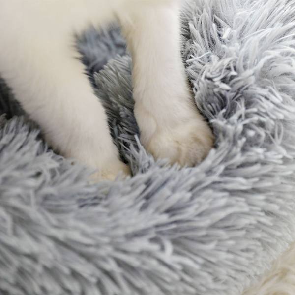 Lugnande kattbädd, kattbäddar för inomhuskatter, liten hundbädd, stor