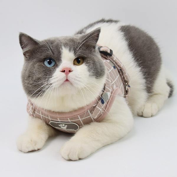 *Sele för husdjur, västmodell, reflexsele, kattsele, grå (XL*