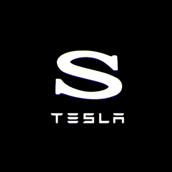 2 st Passar för Tesla välkomstljus dedikerat TESLA MODEL3