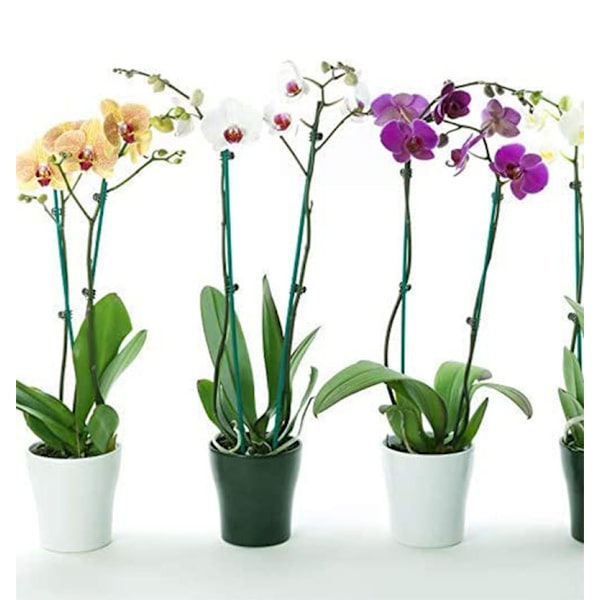 #Växt Bambu Stick Blomsterarrangemang Stick 38cm, för Stöd#