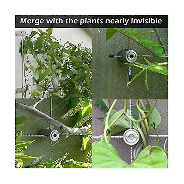 1 Sæt Wire Espalier til Klatreplanter Udendørs, 316 Rustfrit Stål Fastgørelse, Grøn Væg Wire Espalier Kit B -ys