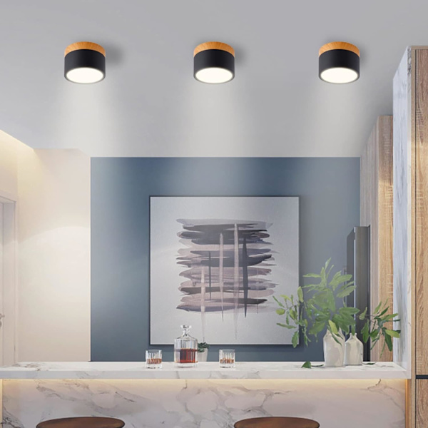 Rund Loftlampe LED Sort Varmt Hvid Aluminium Loft