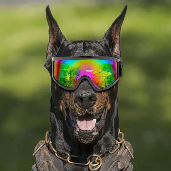 #1 stk Sølv Briller, Hundebriller#