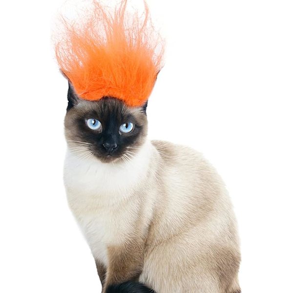 *Halloween husdjurstillbehör peruk samling justerbar katt dekoration (*
