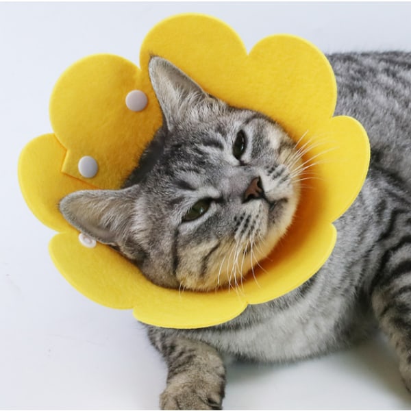 Skyddskrage med blommönster, läckagesäker, EVA-material, för katt, inomhus, gul, S