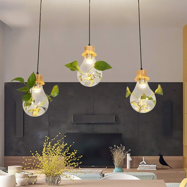 *Lysekrone Glass Akvarieplante Akvarie Lysekrone Hage Små*