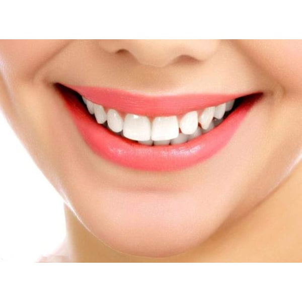 SLANGEGREB/GREB Til Waterpik WP-100 WP-450 WP-660 WP900
