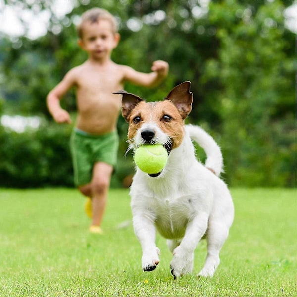 5 pakker tennis treningsball med snor, tennis trenerballer, selvtrenerverktøy, tennisball treningsutstyr for bruk i tennis trenerøvelser