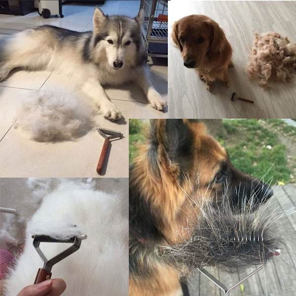 13-Blads Coat King Rake för Djur Underull, Professionell Djur-Avmattning