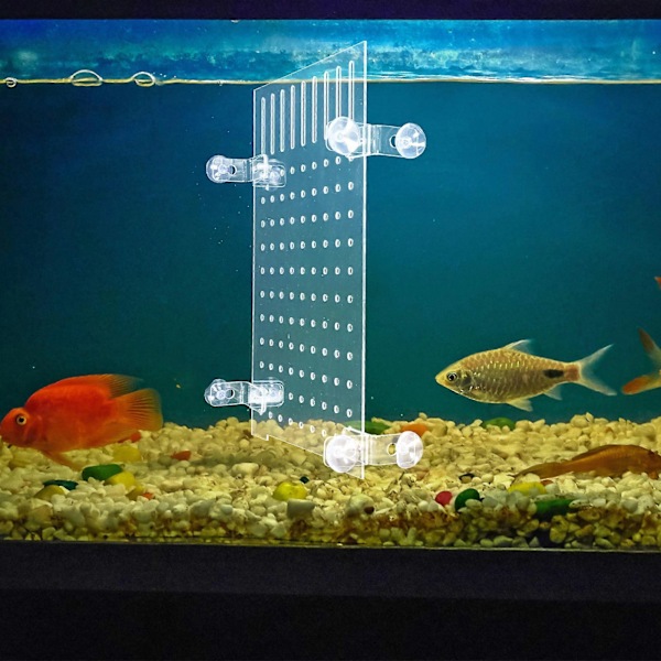 1 Set Akvarium Fisk Tank Avdelare Akryl Isolering Skiva Transparent Fisk Tank Avdelare med Sugkopp