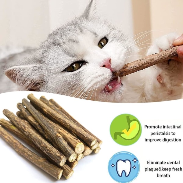 30 Catnip Sticks Legetøj Kat Killing Catmint Chew Mint Cat Teeth Clea