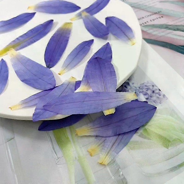 Lilla Tørkede Nøkkeroseblomstblader for Resin Håndverk, 3 STK Naturlige Ekte Pressede Tørre Nøkkeroseblomster for Resin DIY Smykker Ornament Håndverk Kan