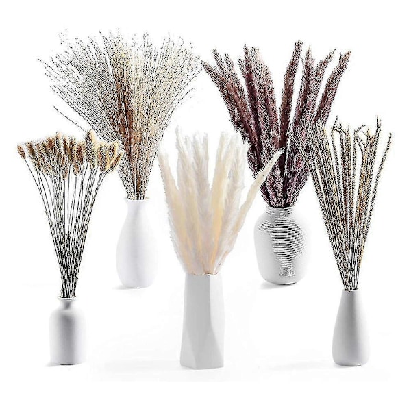 120 stk. Tørket Pampasgress Bukett Dekor, Boho Hjem Rom Bryllupsfest Arrangementer, Høst Tørre Blomster Bunter Bulk Høy