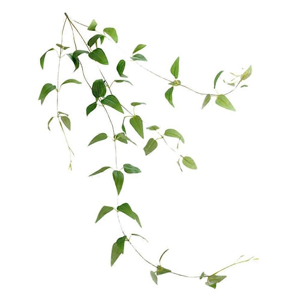 1 stk. Dekorativ kunstig plante med jerntråde, falsk Clematis-blad-ranke til hjemmet