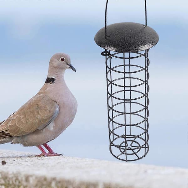 Riippuva kanansyöttölaite, tipujen ruokintakori, tukeva kana