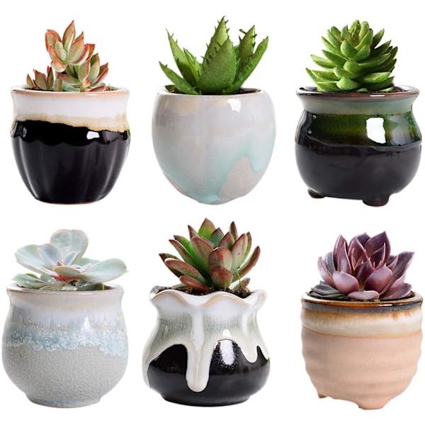 *6 stk. keramiske blomsterpotter Mini sukkulentpotte Kaktusplantepotte til hjem Havekontor Dekoration (6 stk.)*