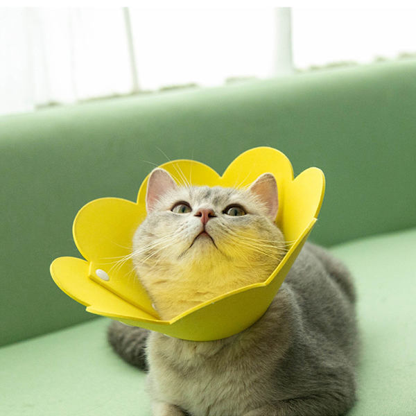 Skyddskrage med blommönster, läckagesäker, EVA-material, för katt, inomhus, gul, S