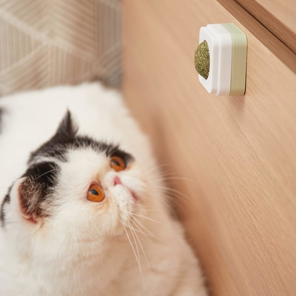 Kattmynta Boll Leksak, 3 i 1 Ätbara Kattmynta Bollar Leksak, 360° Roterande W