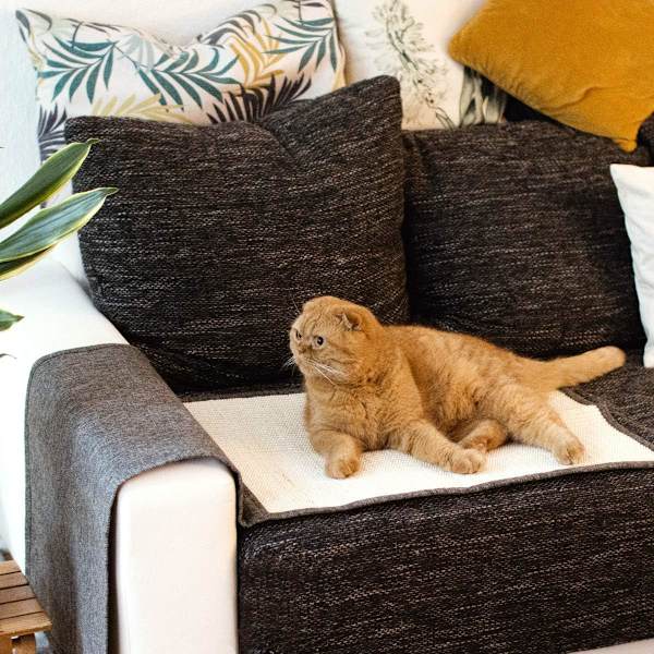 Kattekradsematte - Beskyttelse Sofa Armstol Møbler Gulv