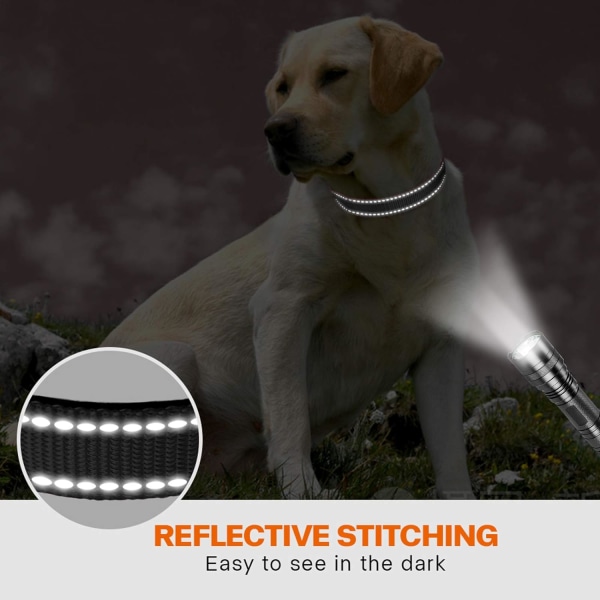 Hundehalsbånd, klassisk justerbar reflekterende nylonhalsbånd med myk