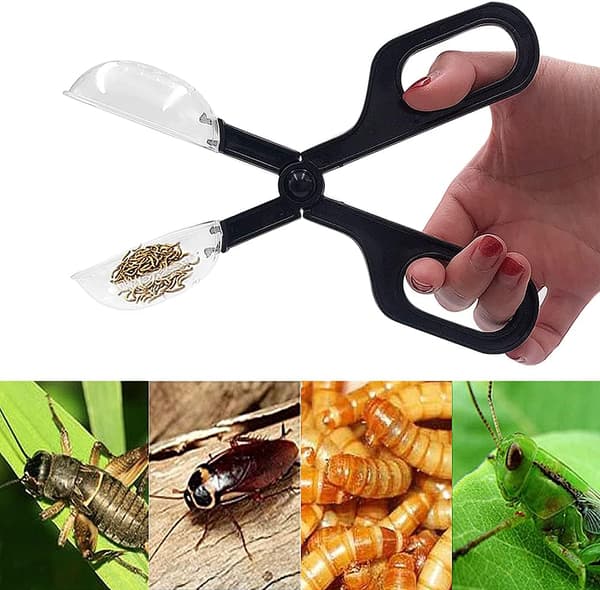 *2 stk. Reptilfôringsklips Bille Øgle Insektfangst Tang Til*