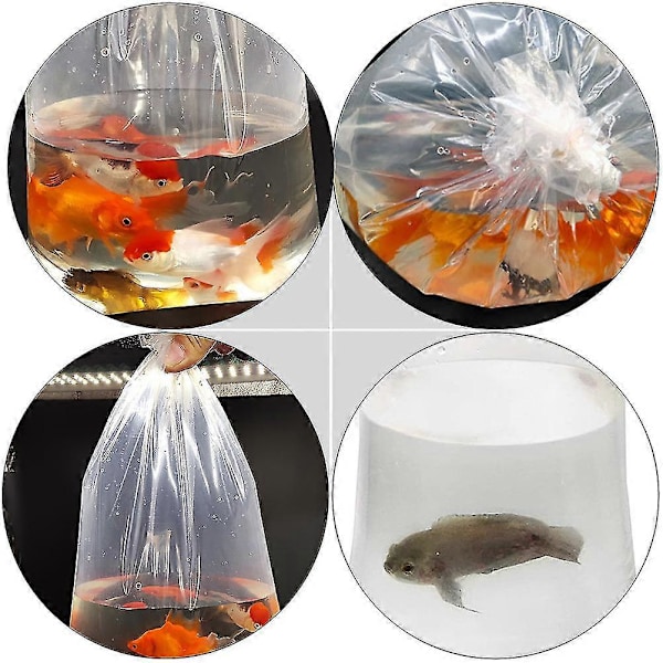 50 stk. klare indpakningsposer, transportposer til levende fisk, ferskvandsfiskeposer, plastiklokkeposer
