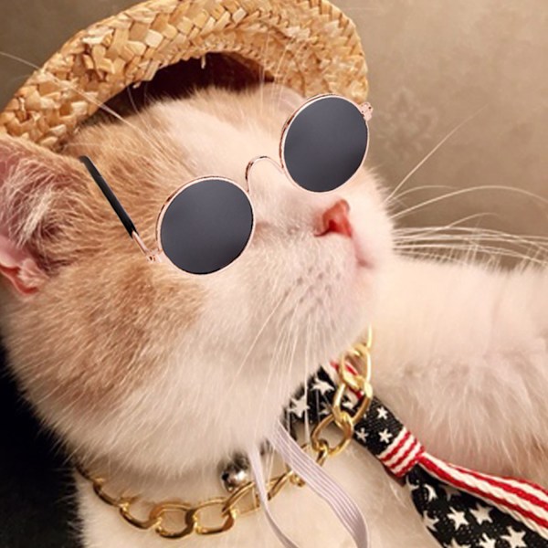 /#/Solglasögon katt UV-skydd/#/