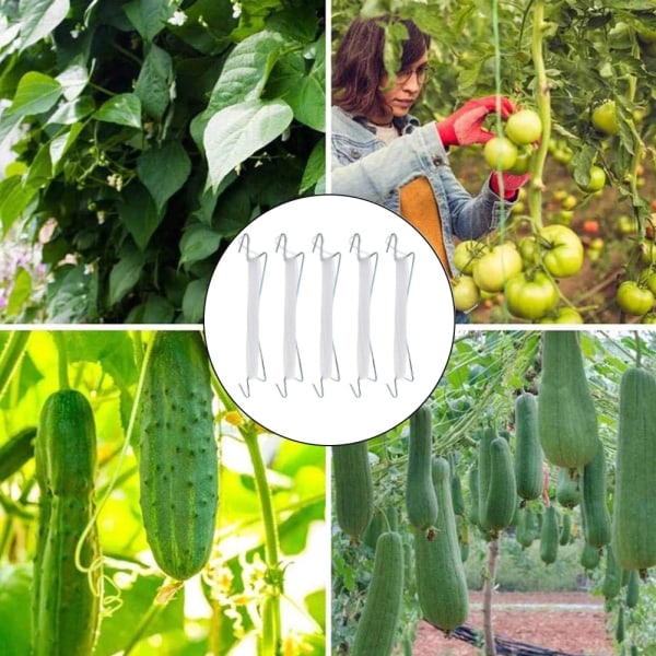 5 Styk Tomatholderkroge Drivhus Tomatplanteholder Med