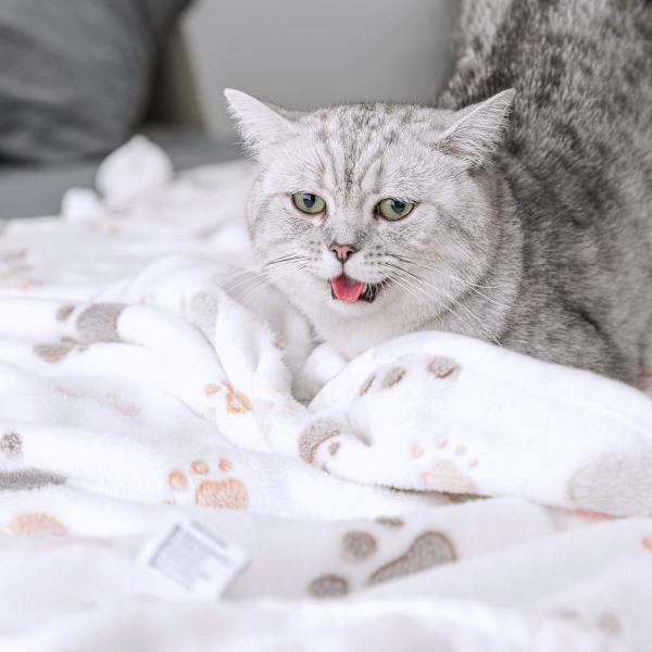*Hund/Kattfilt, Söt tassdesign tryckt, Perfekt presentidé, Lätt M*