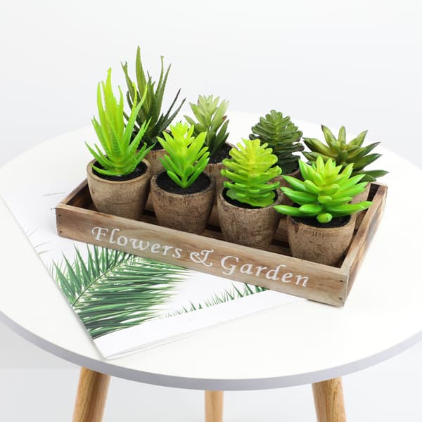 #Set med 2 konstgjorda plastsucculenter med blomkruka 12cm#