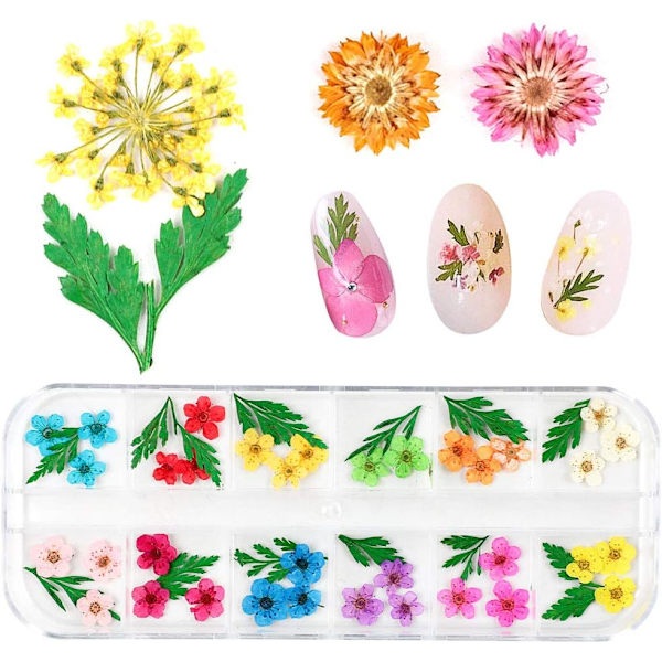 Manicure små tørrede blomsterSkønhed og sundhed