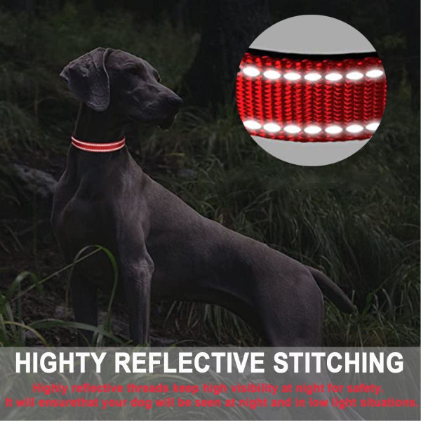 Hundehalsbånd, Reflekterende Justerbar Basic med Blødt Neopren Polstring, Holdbare Nylon Halsbånd til Hvalp Små Mellemstore Store Hunde, Rød, L: 17,5-27,5 tommer