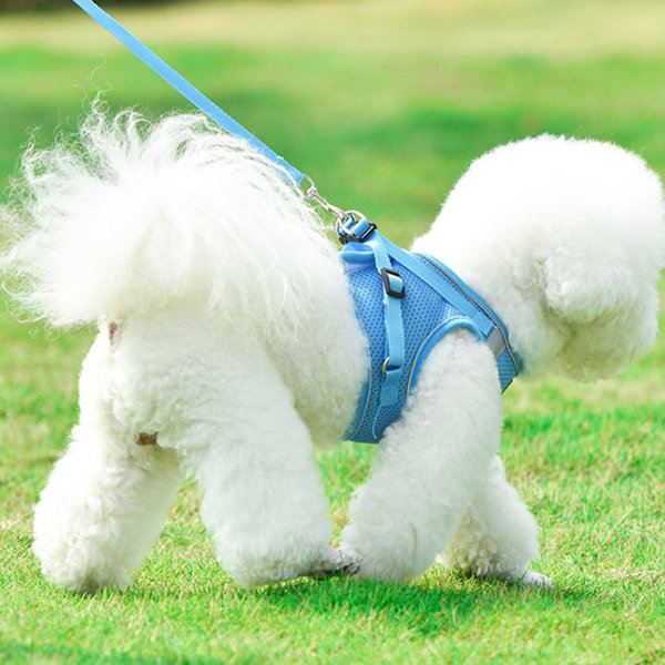 2-pack hundsele, andningsbar valp katt hundväst sele väst-stil hund dragrep reflekterande-blå s