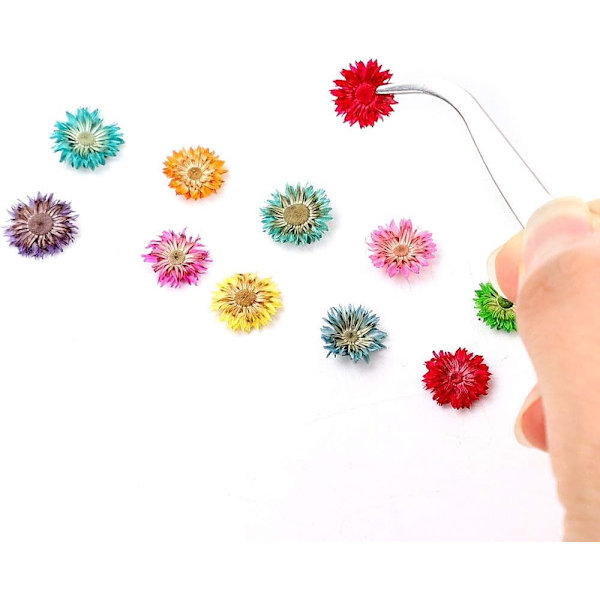 Manicure små tørrede blomsterSkønhed og sundhed