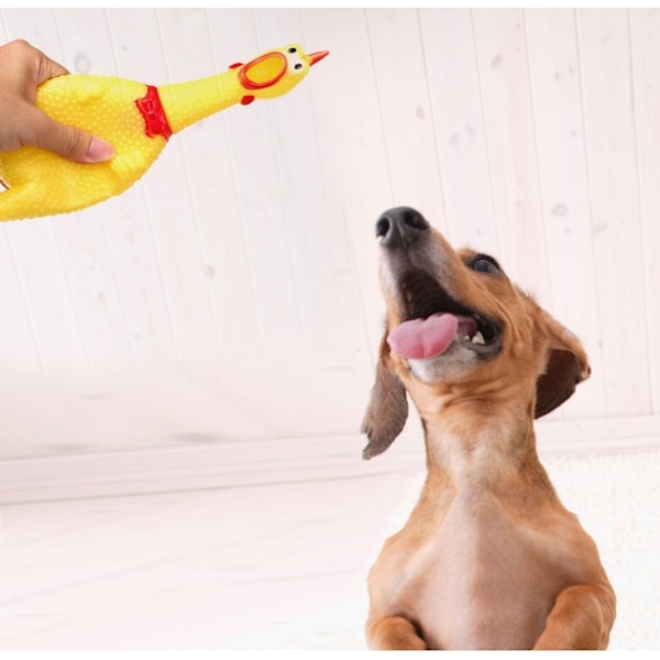 Skrikande kyckling hund leksaker, gul gummi skrik kyckling leksak nyhet och hållbar gummi kyckling för hundar