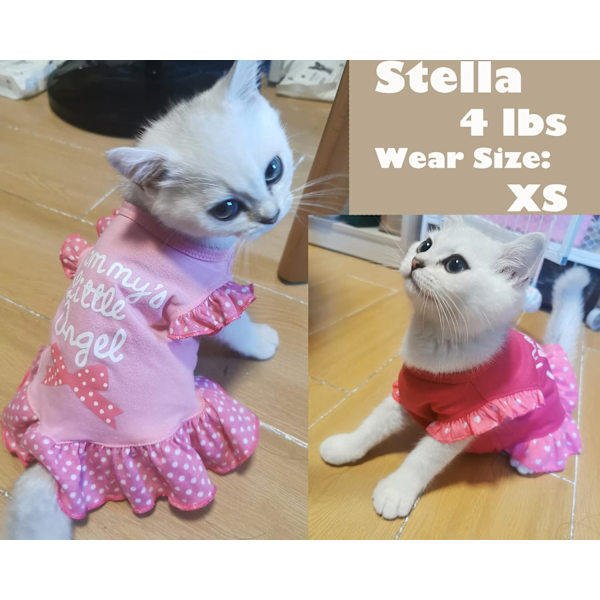 4 stycken hundklänning skjorta valp hundkläder för små hundar flicka söt hundklänning hund sommar kläder för hundar katter (rosa ängel, medium(8-11 lbs))