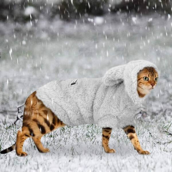 Vintervarme Små Hundepj'er til Hvalpe, Sød Kanin Design Pet PJS Jumpsuit, Blød Fleece Hoodie Tøj til Chihuahua Yorkie Puddel - Grå - S