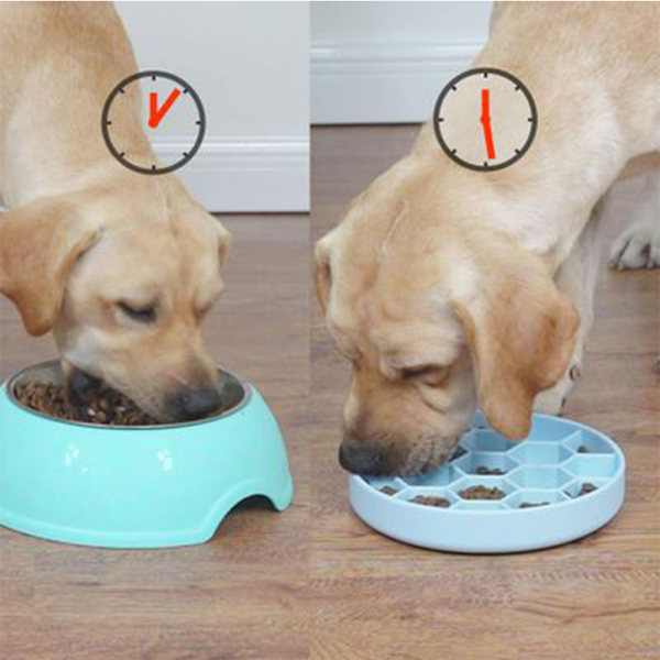 Slow Feed Dog Bowl Slowly Bowly Fun Interactive Dog Dish For Fast Eaters Prevent Bloating Fun To Use Dogs-Blue