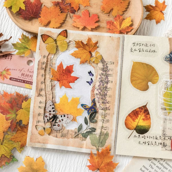 Scrapbook-tarrat 6 pakkausta, 40 kpl kussakin roskakoriin, vesipulloihin, kannettavaan tietokoneeseen, PET-esteettiset koristetarrat, päiväkirjatarvikkeet - lehtiaihe