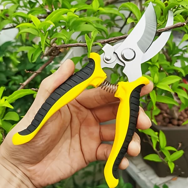 Professional Pruning Shears Sharp Bypass Pruners for Tree Trimming Gardening