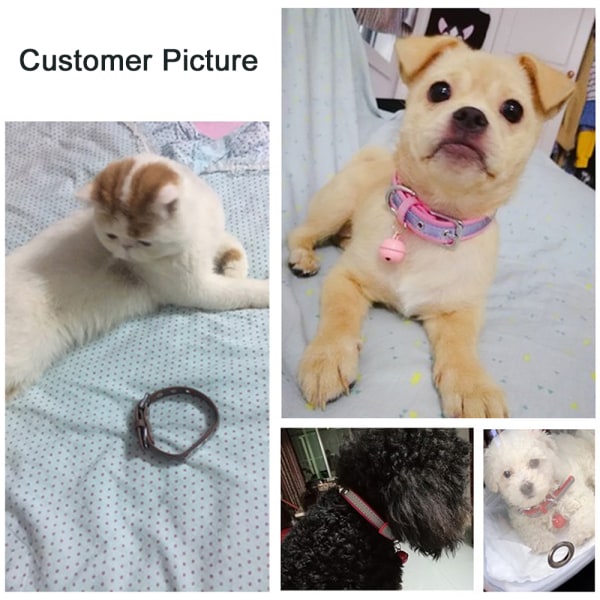 Hundhalsband med graverad namnskylt, anpassningsbart, mjukt läder, Hundhalsband med individuell identifieringsetikett-svart M
