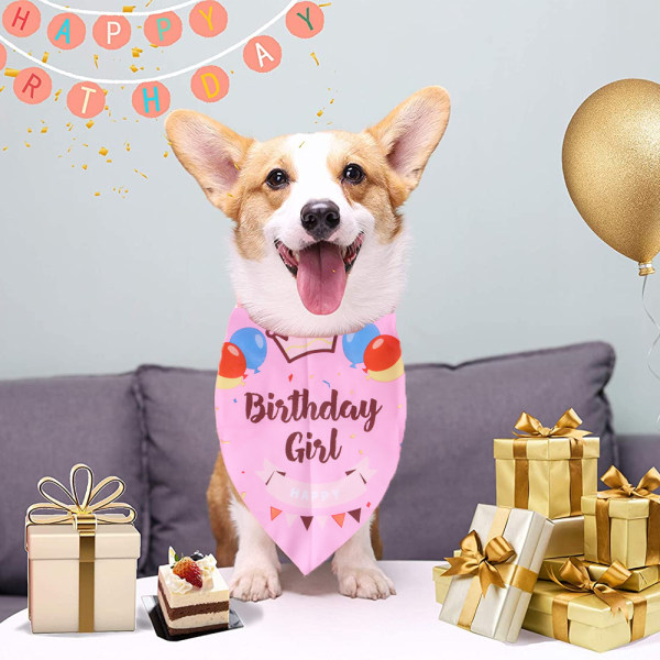 Happy Birthday Hunde Bandana Med The Birthday Girl Hunde Bandana，Happy Birthday Hunde Bandana-Pink