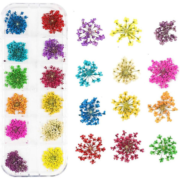 Manikyr små torkade blommor Skönhet och hälsa