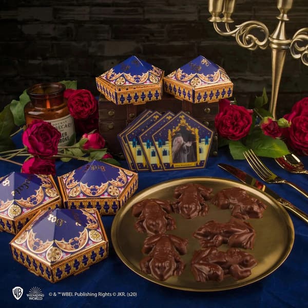 Harry Potter Chokoladefrøform + 12 Troldmandskort + 6 DIY | Acotis One size