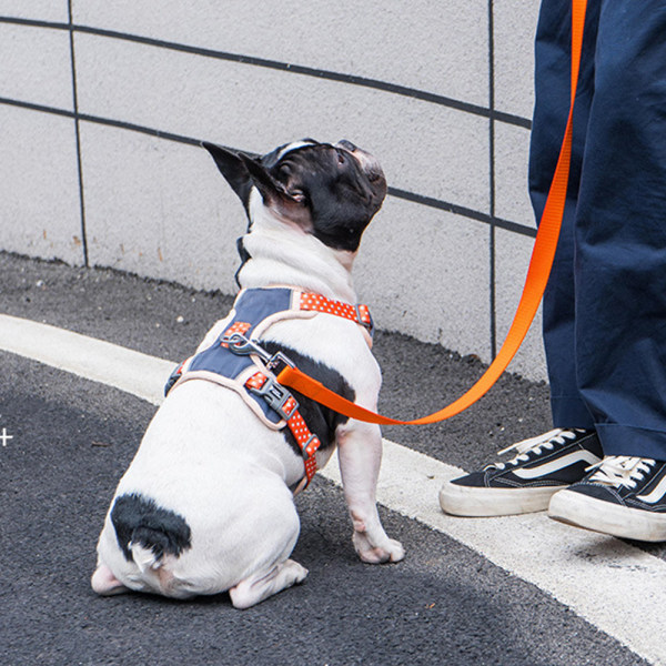 Hunde sele sele, åndbar kæledyrsvest - orange brystrem størrelse S + orange snor størrelse M