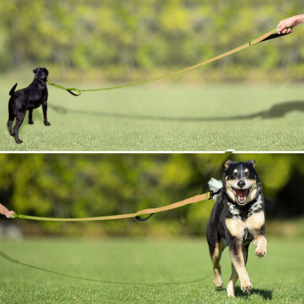 Pet Gear Hundekobbel 1,5 m lang polstret to håndtak Heavy Duty dobbelthåndtak lede for kontroll sikkerhetstrening kobbel - oransje