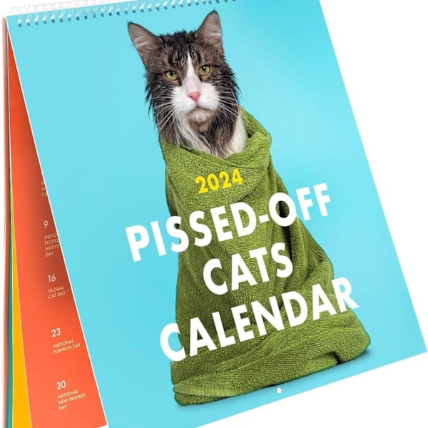 2023 Angry Cat Calendar Morsom Katt Veggkalender-9.5\" x 9 \"